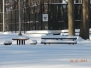 2014 02 17 Woodsy winter wonderland